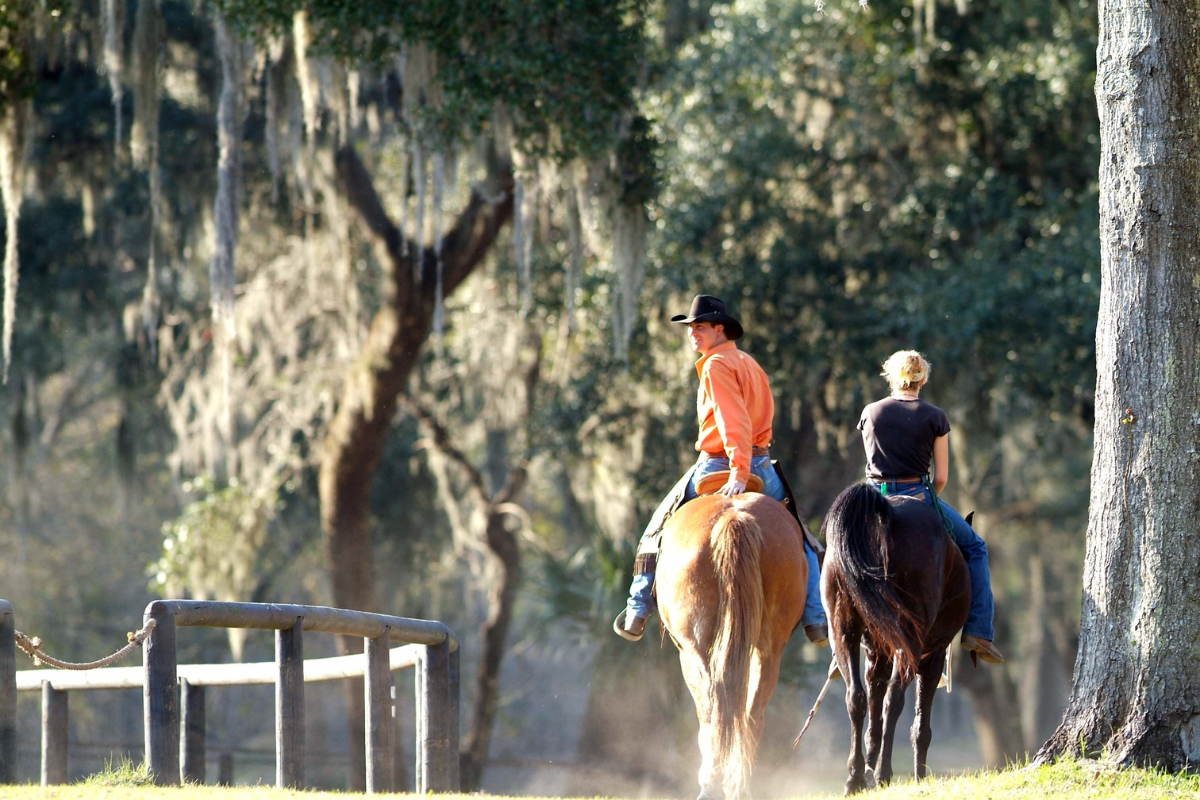 When Can You Ride Horses? Essential Tips for Every Rider