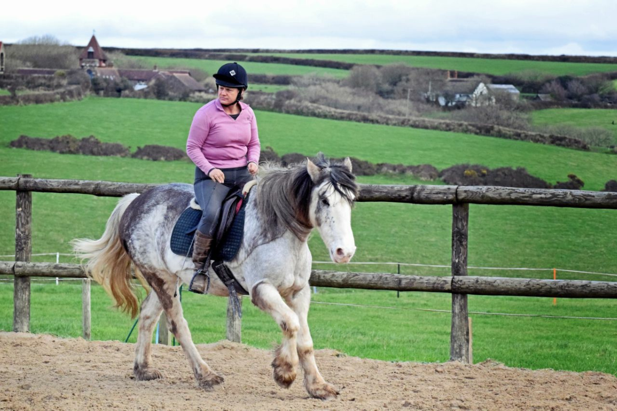 Cos'è Parelli Natural Horsemanship? | Istruttori Parelli Cos'è Parelli Natural Horsemanship? | Istruttori Parelli