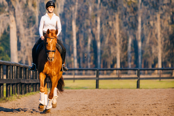 Dressage is More Than a Sport