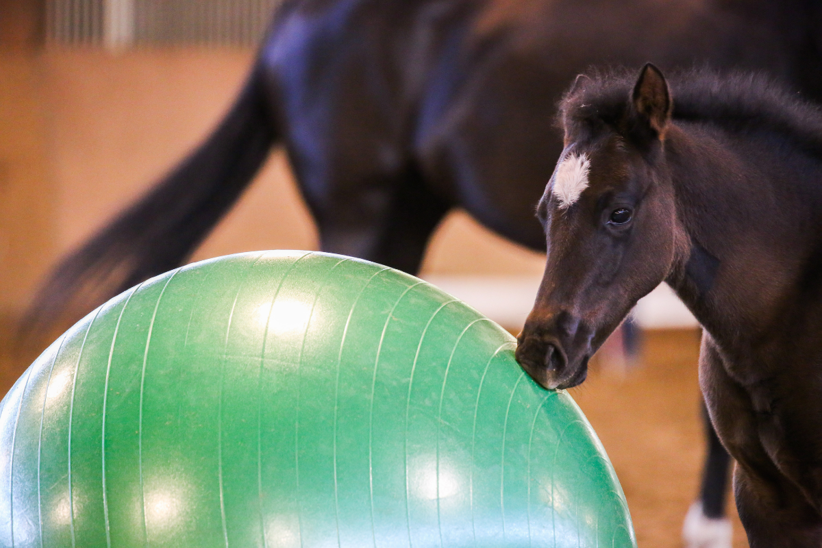 Positive Pattern Integration