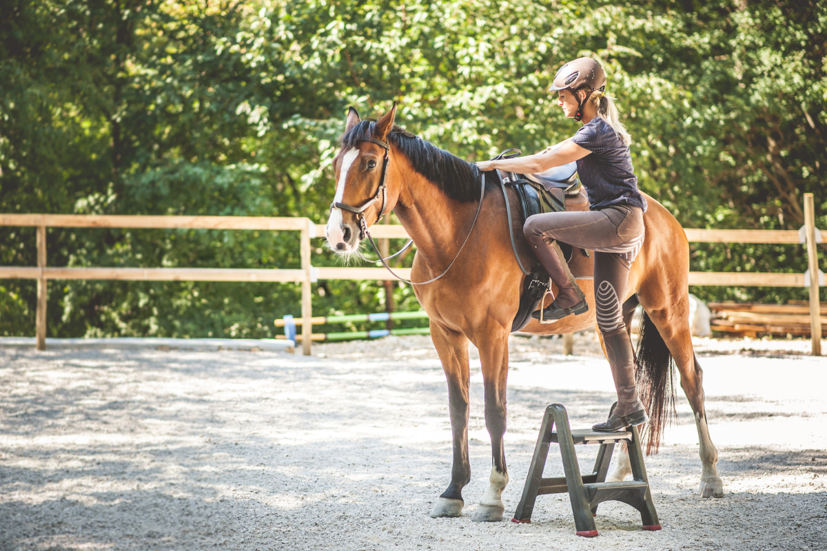 Do You Really Need to Mount a Horse From the Left Side?