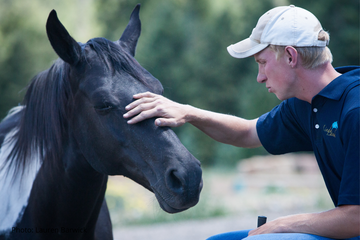 Afraid of Horses? What to Do About It as a Horse Rider
