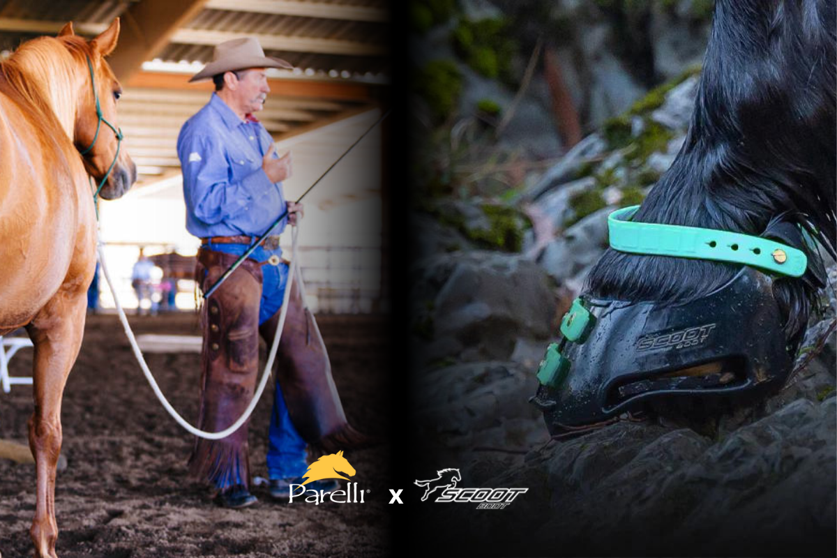 Scoot Boot™ & Parelli® Partner to Advance Equine Welfare Worldwide