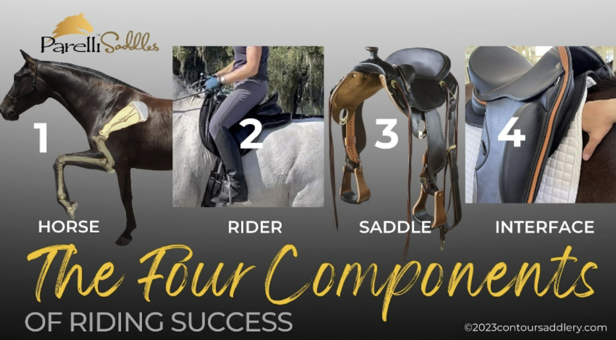 Mastering Riding Success: The Vital Four Components with Parelli Saddles