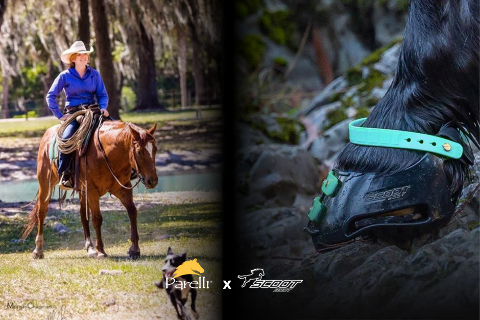 Hoof Boots for Horses A Natural Guide