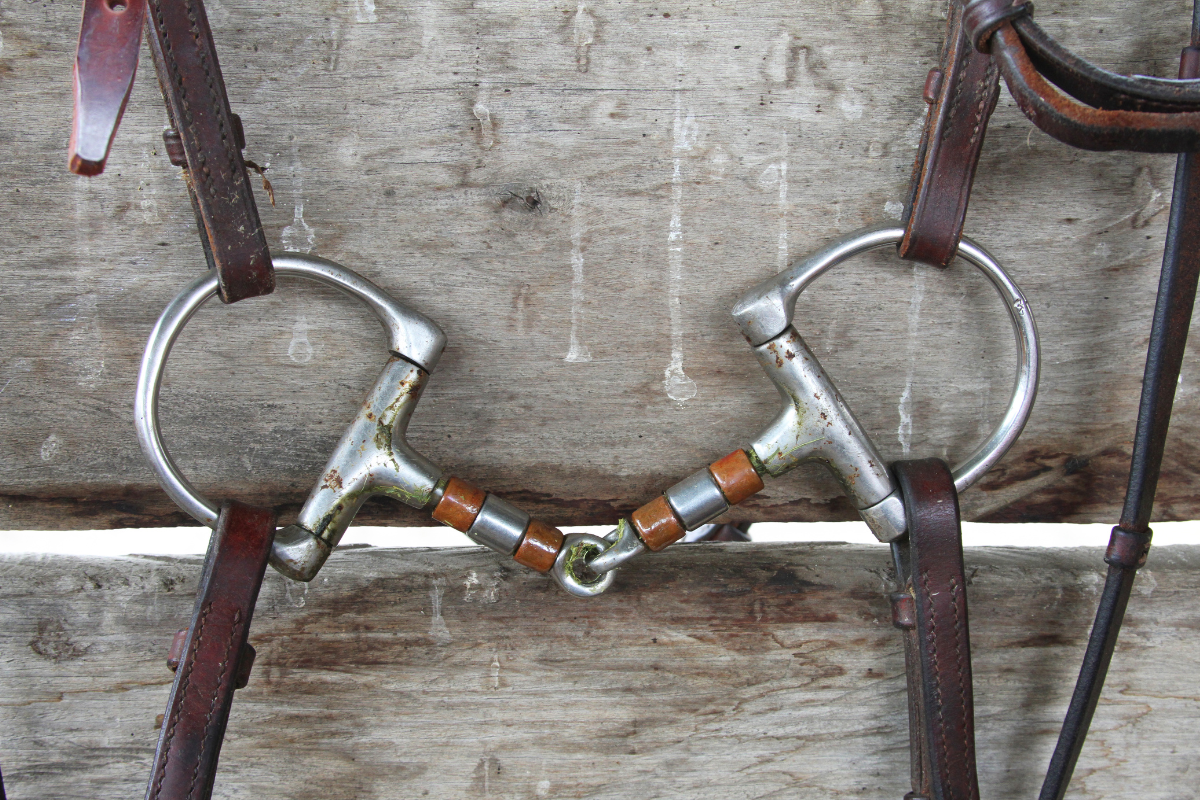 Snaffle Bits: Benefits & Uses for Horse Training