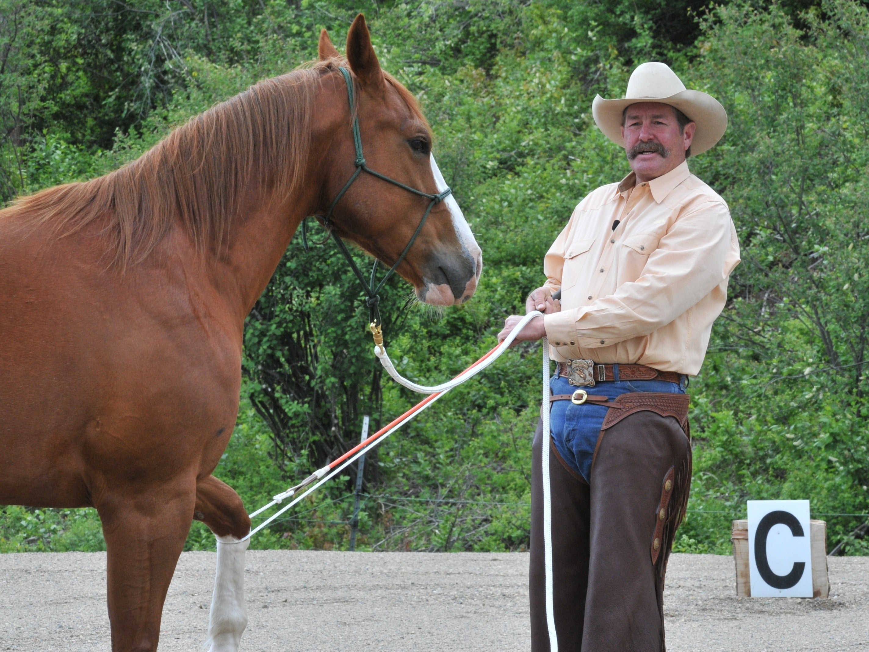 The Why And How Of Horse Hobbles the-why-and-how-of-horse-hobbles