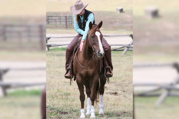 Understanding How Horses Think, Feel, Act & Play