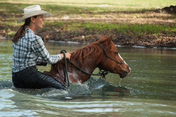 Horse Swimming: Tips for Safety + Fun