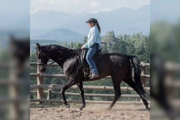 Eight Principles of Horsemanship Pertaining to Gaited Horses
