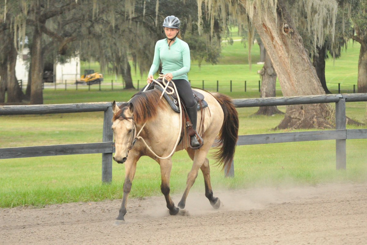 The Starting Post for Better Riding