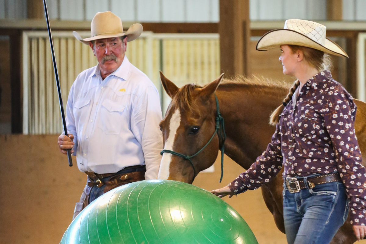 Getting the Most Out of a Horse Training Clinic: A Guide For Success