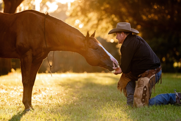 The Power of Parelli Puzzle Solving