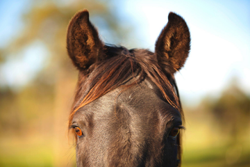 How Did You Learn To Be A Lateral Thinker?