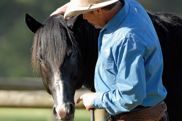 Understanding Flexion