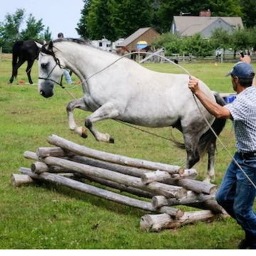 22 'Fjäderlinje (par)
