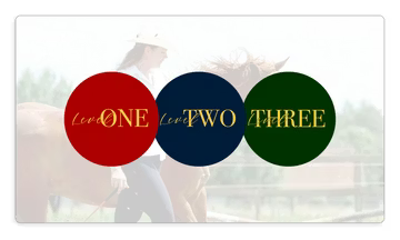 Level 1, 2 & 3 Access