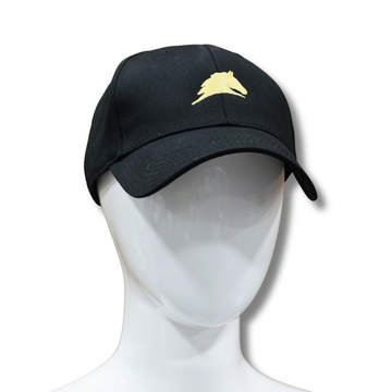 🎁 Parelli Baseball Cap (100% off)