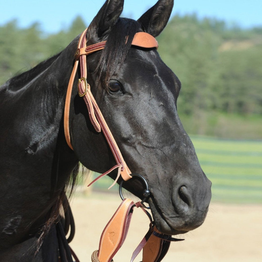 Parelli Natural West Snaffle Bridle Set)