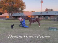 Prince