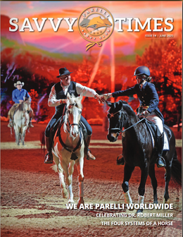 Savvy Times Magazine