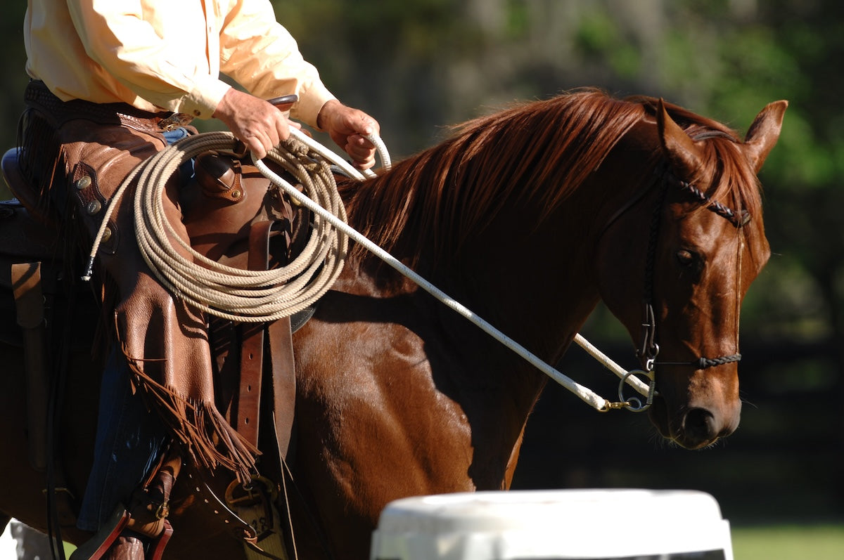 Cradle Bridle (Complete Set)