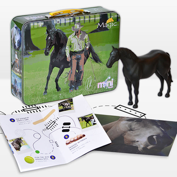 Mini Magic Lunchbox & Toy