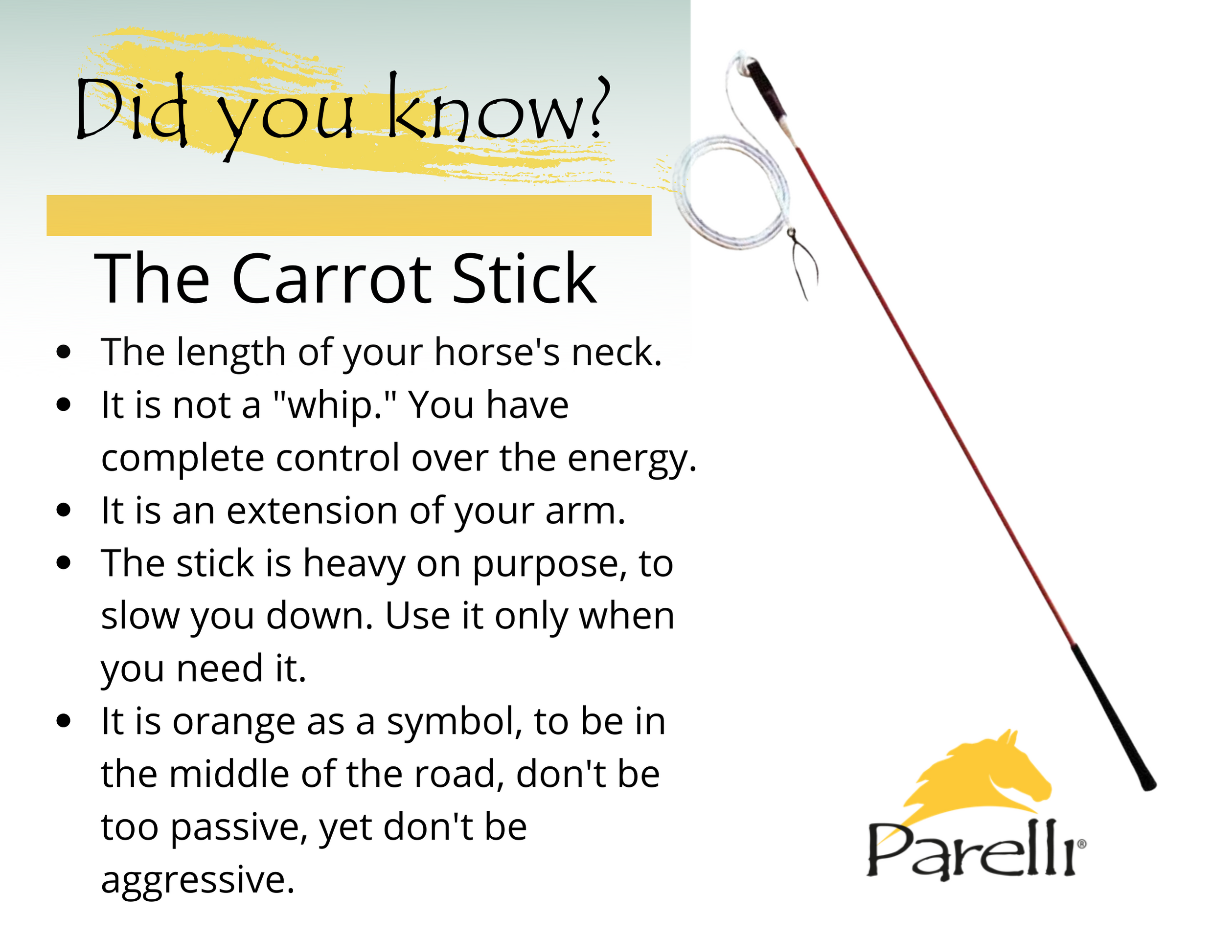 Adult Carrot Stick