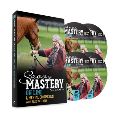 Savvy Mastery Series-OnLine: A Mental Connection w/Silke