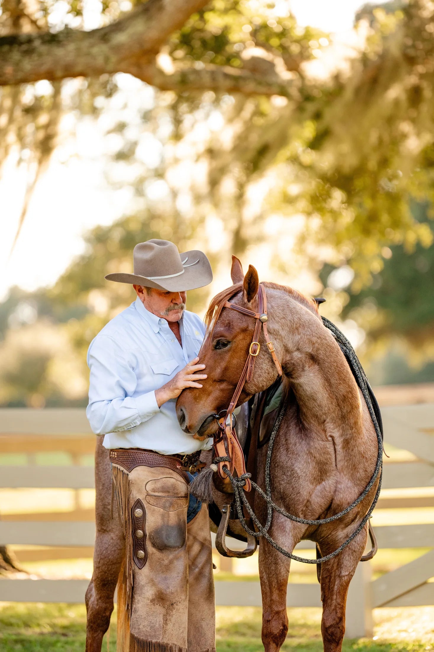 Pat Parelli sharing a calm connection with a horse